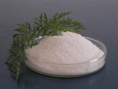 聚丙烯酰胺可以使用在哪些領(lǐng)域？